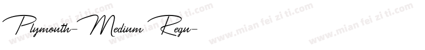 Plymouth-Medium Regu字体转换
